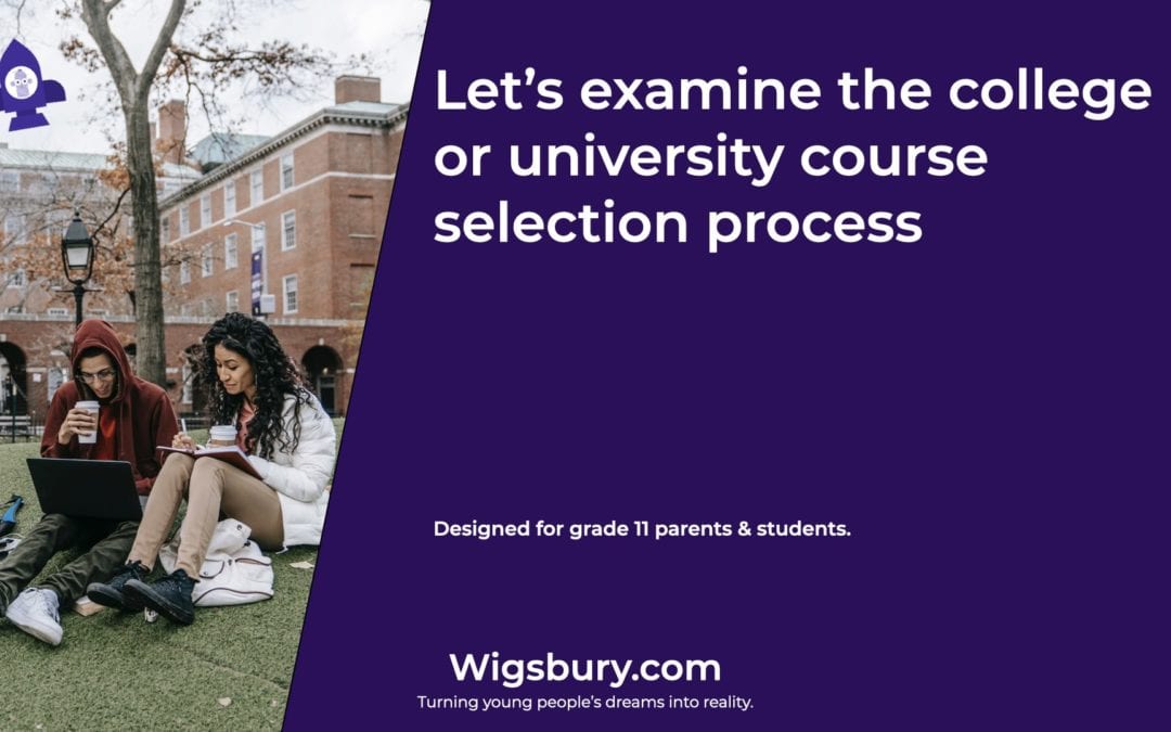University course selection: The Expert View