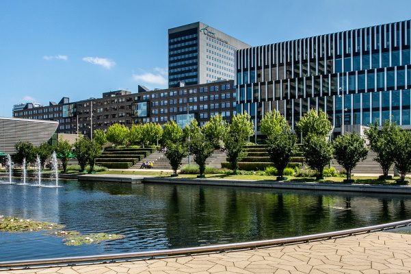 Rotterdam School of Management